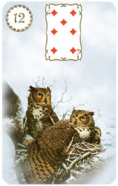 card-29