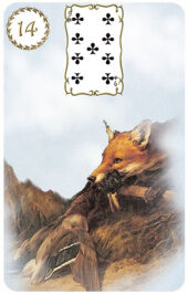 card-15