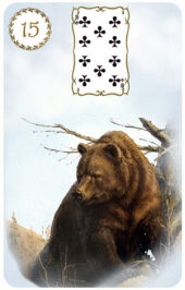 card-19
