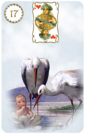 card-22