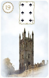 card-13
