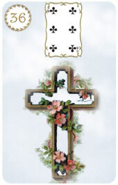 card-12