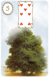 card-1