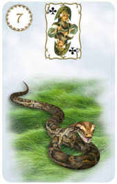 card-20
