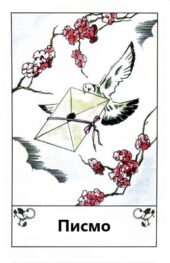 card-13
